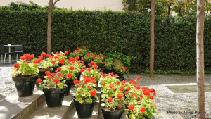 dia2 MP 30-03-2013 13-38-29