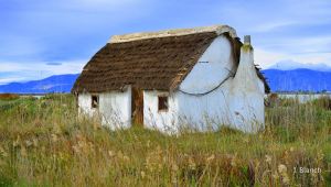 10590471_10204684329982246_9218684425040988563_n