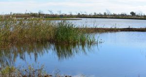 10690357_10204684328342205_7979144725448815080_n