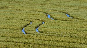 1378670_10204684328822217_8408980358126007974_n