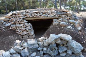 1521845_10204676026894674_5323548718969203074_n